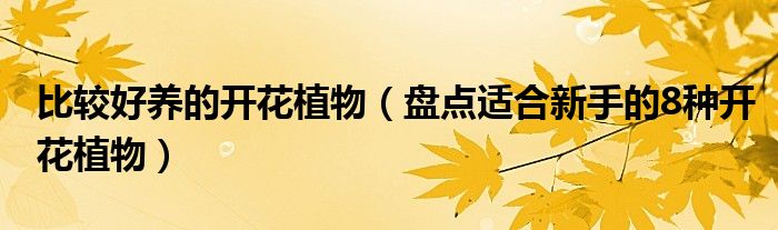 比较好养的开花植物(盘点适合新手的8种开花植物)