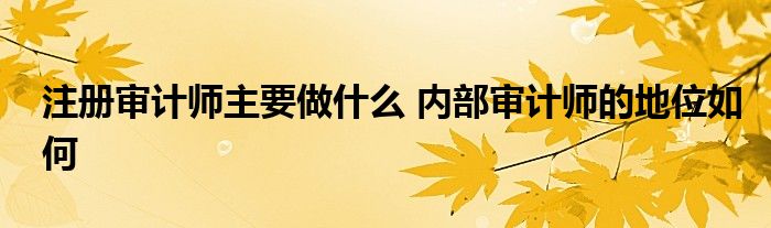 注册审计师主要做什么 内部审计师的地位如何