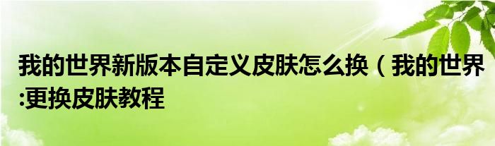 我的世界新版本自定义皮肤怎么换(我的世界:更换皮肤教程