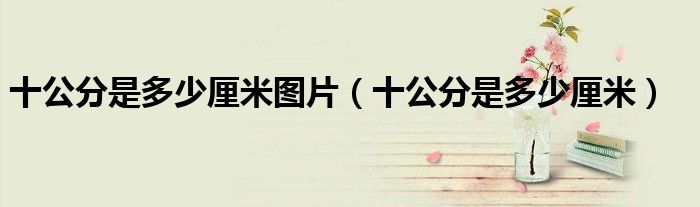 十公分是多少厘米图片(十公分是多少厘米)