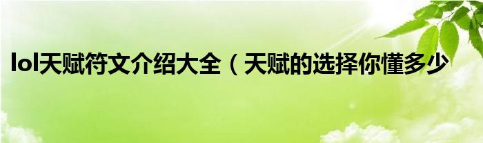 lol天赋符文介绍大全(天赋的选择你懂多少