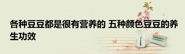 各种豆豆都是很有营养的 五种颜色豆豆的养生功效