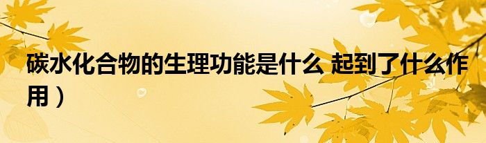 碳水化合物的生理功能是什么 起到了什么作用)