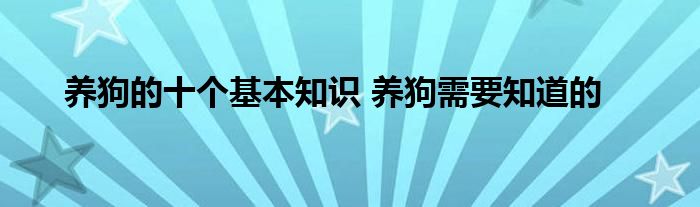养狗的十个基本知识 养狗需要知道的