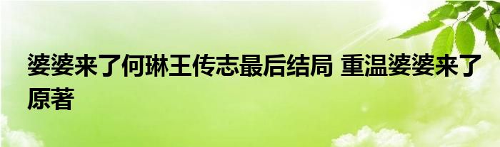 婆婆来了何琳王传志最后结局 重温婆婆来了原著