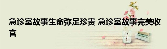 急诊室故事生命弥足珍贵 急诊室故事完美收官