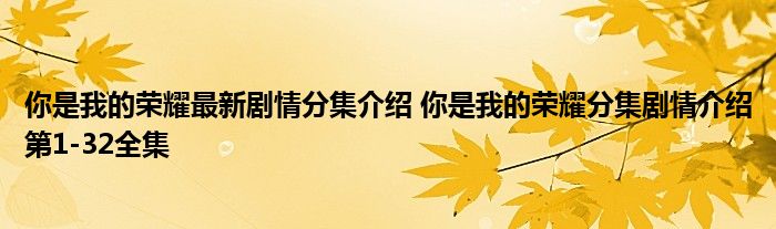 你是我的荣耀最新剧情分集介绍 你是我的荣耀分集剧情介绍第1-32全集