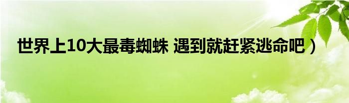 世界上10大最毒蜘蛛 遇到就赶紧逃命吧)