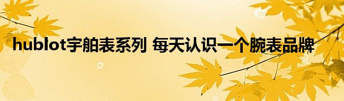 hublot宇舶表系列 每天认识一个腕表品牌