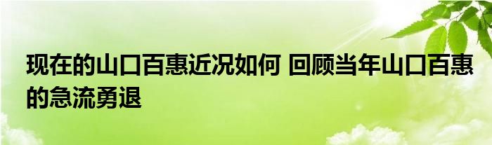 现在的山口百惠近况如何 回顾当年山口百惠的急流勇退