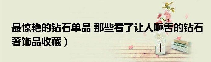 最惊艳的钻石单品 那些看了让人咂舌的钻石奢饰品收藏)