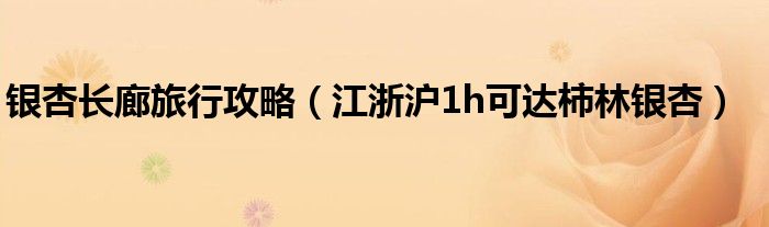 银杏长廊旅行攻略（江浙沪1h可达柿林银杏）