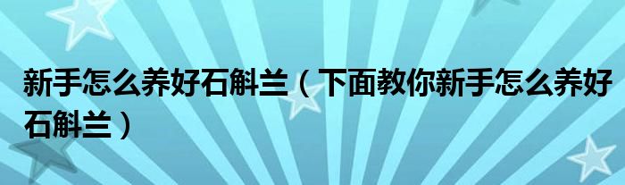 新手怎么养好石斛兰(下面教你新手怎么养好石斛兰)