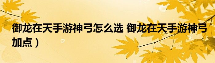 御龙在天手游神弓怎么选 御龙在天手游神弓加点)