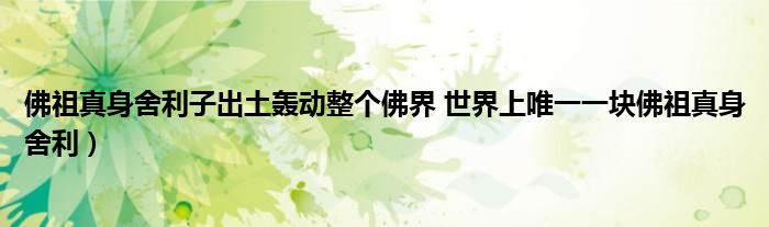 佛祖真身舍利子出土轰动整个佛界 世界上唯一一块佛祖真身舍利)