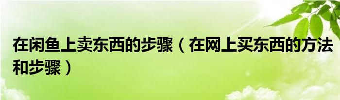 在闲鱼上卖东西的步骤(在网上买东西的方法和步骤)