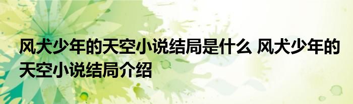 风犬少年的天空小说结局是什么 风犬少年的天空小说结局介绍