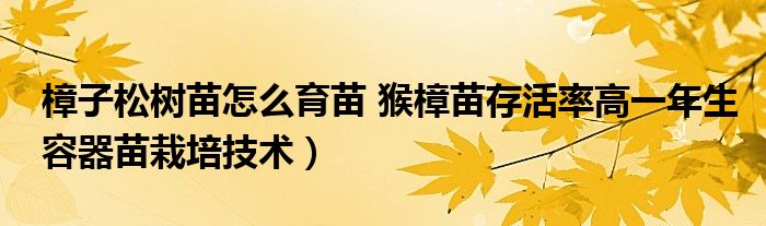 樟子松树苗怎么育苗 猴樟苗存活率高一年生容器苗栽培技术)