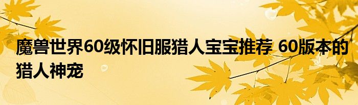 魔兽世界60级怀旧服猎人宝宝推荐 60版本的猎人神宠