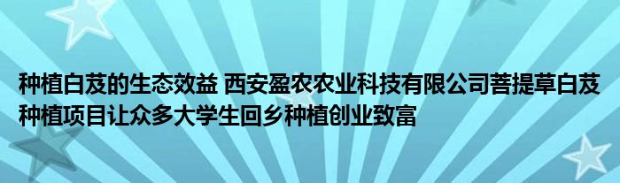 种植白芨的生态效益 西安盈农农业科技有限公司菩提草白芨种植项目让众多大学生回乡种植创业致富