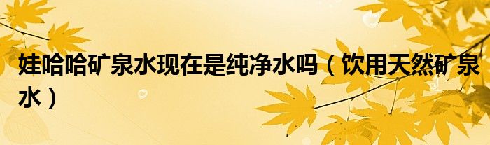 娃哈哈矿泉水现在是纯净水吗(饮用天然矿泉水)
