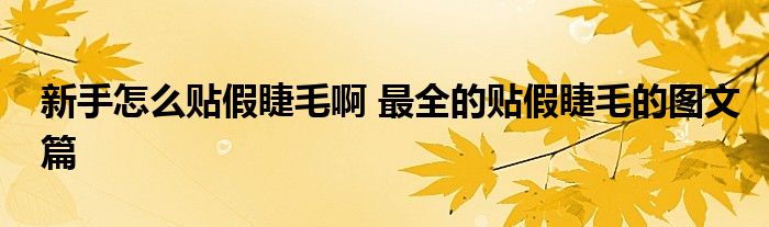 新手怎么贴假睫毛啊 最全的贴假睫毛的图文篇