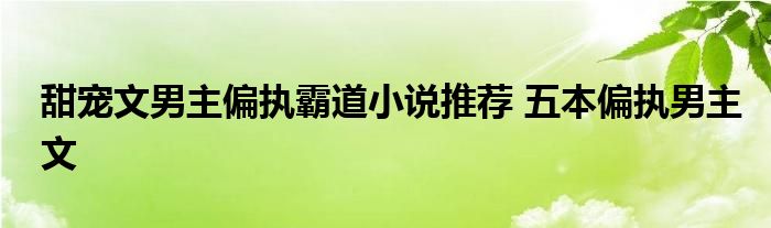 甜宠文男主偏执霸道小说推荐 五本偏执男主文