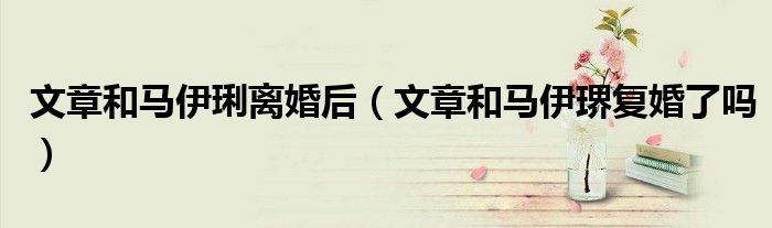 文章和马伊琍离婚后(文章和马伊琾复婚了吗)