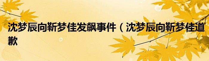 沈梦辰向靳梦佳发飙事件（沈梦辰向靳梦佳道歉