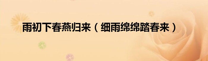 雨初下春燕归来（细雨绵绵踏春来）