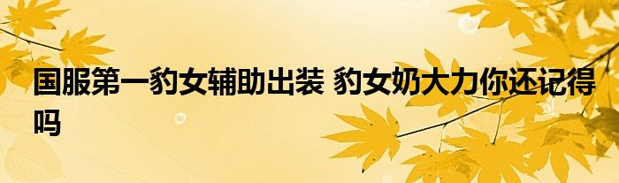 国服第一豹女辅助出装 豹女奶大力你还记得吗