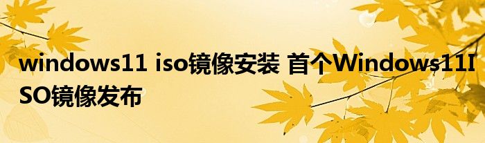 windows11 iso镜像安装 首个Windows11ISO镜像发布