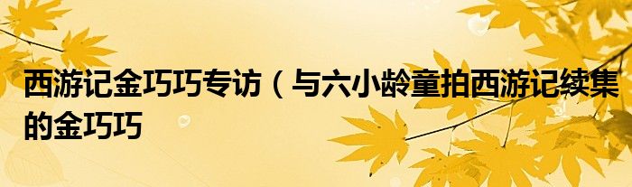 西游记金巧巧专访(与六小龄童拍西游记续集的金巧巧