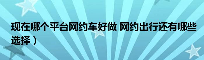 现在哪个平台网约车好做 网约出行还有哪些选择）