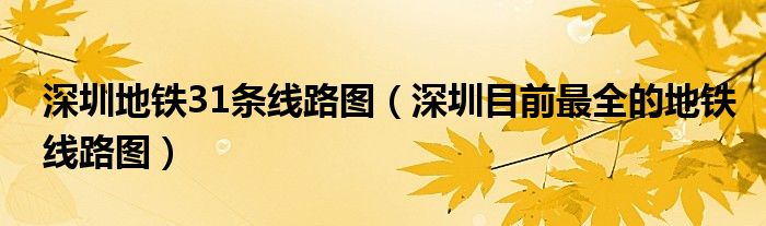 深圳地铁31条线路图(深圳目前最全的地铁线路图)