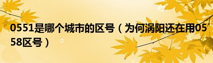 0551是哪个城市的区号(为何涡阳还在用0558区号)