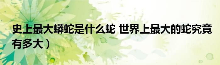 史上最大蟒蛇是什么蛇 世界上最大的蛇究竟有多大)