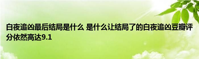 白夜追凶最后结局是什么 是什么让结局了的白夜追凶豆瓣评分依然高达9.1