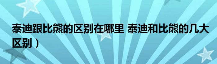 泰迪跟比熊的区别在哪里 泰迪和比熊的几大区别)
