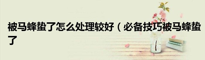 被马蜂蛰了怎么处理较好(必备技巧被马蜂蛰了