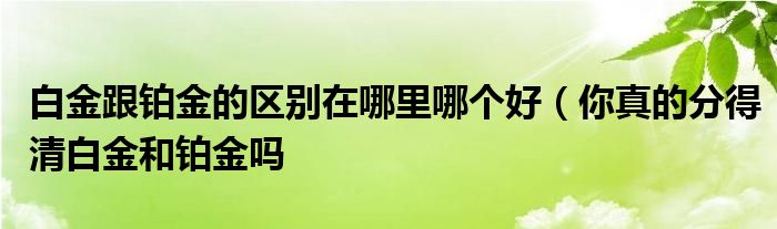 白金跟铂金的区别在哪里哪个好(你真的分得清白金和铂金吗