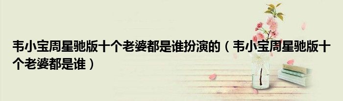 韦小宝周星驰版十个老婆都是谁扮演的(韦小宝周星驰版十个老婆都是谁)