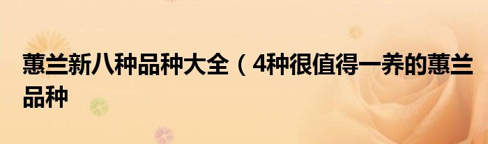 蕙兰新八种品种大全(4种很值得一养的蕙兰品种