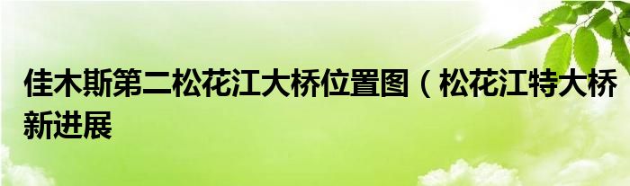 佳木斯第二松花江大桥位置图(松花江特大桥新进展