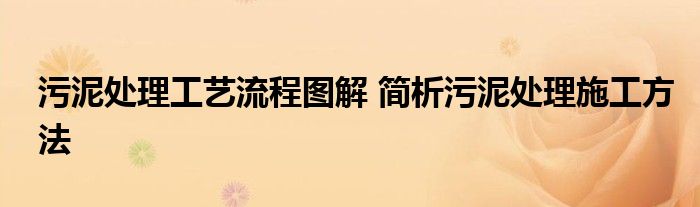 污泥处理工艺流程图解 简析污泥处理施工方法
