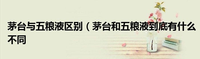 茅台与五粮液区别(茅台和五粮液到底有什么不同