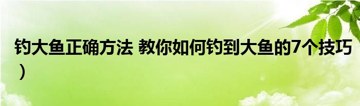 钓大鱼正确方法 教你如何钓到大鱼的7个技巧)
