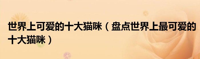 世界上可爱的十大猫咪(盘点世界上最可爱的十大猫咪)