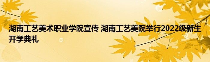 湖南工艺美术职业学院宣传 湖南工艺美院举行2022级新生开学典礼