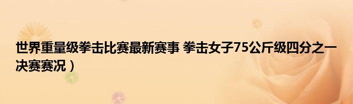 世界重量级拳击比赛最新赛事 拳击女子75公斤级四分之一决赛赛况)